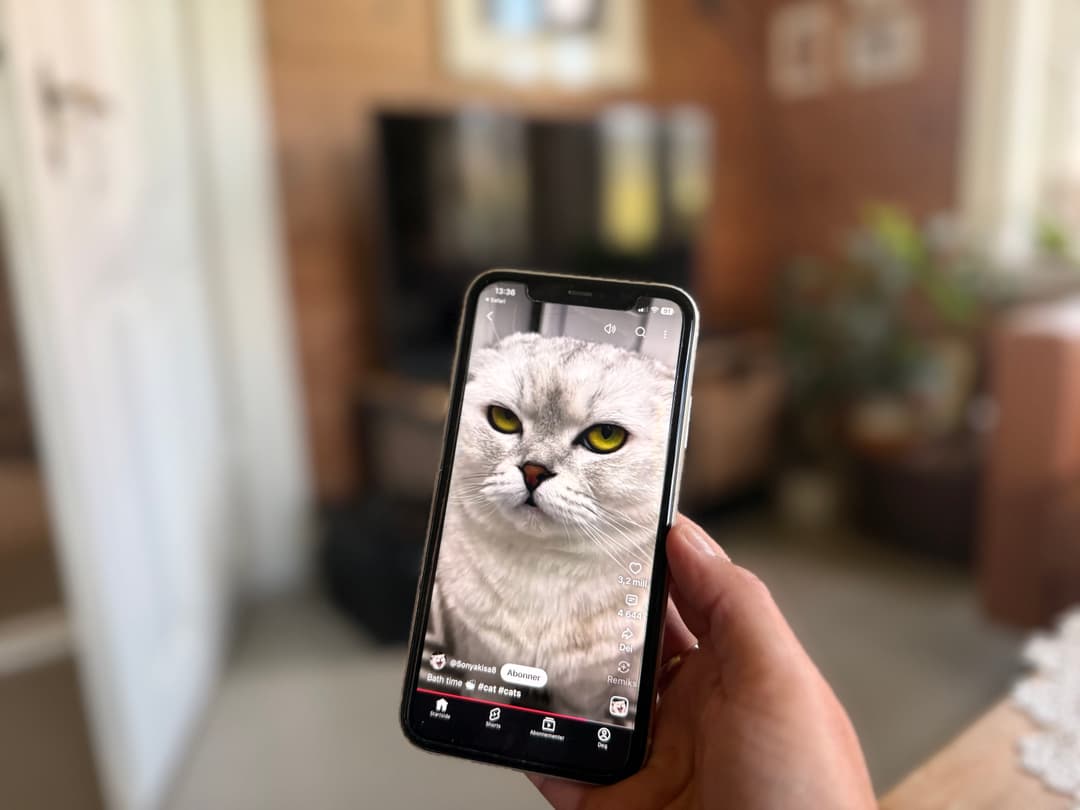 Image from iOS (1).jpg